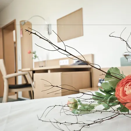 Aparthotel Serviced Apartments Kurpfalzhof 3*