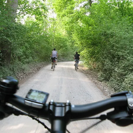 Aparthotel Serviced Apartments Kurpfalzhof