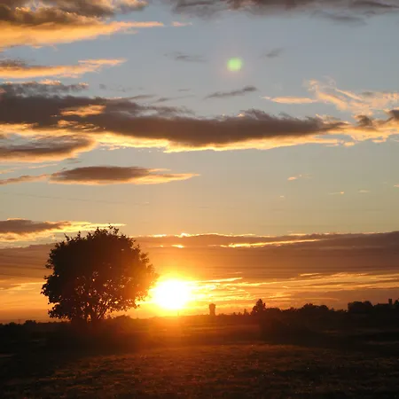 Serviced Kurpfalzhof アパートホテル Oftersheim