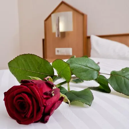 Apart-hotel Serviced Kurpfalzhof 3*