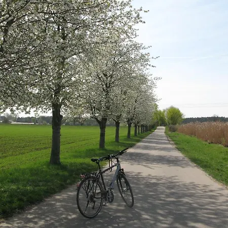 Serviced Apartments Kurpfalzhof Aparthotel 3*