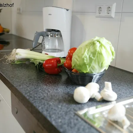 Serviced Kurpfalzhof Apart-hotel